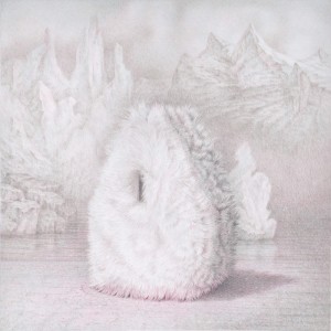 Furry-Shelter---aus-6-Scans